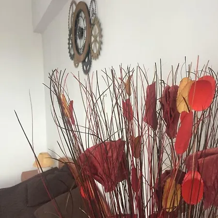 Abc Studio Apartment Brasov